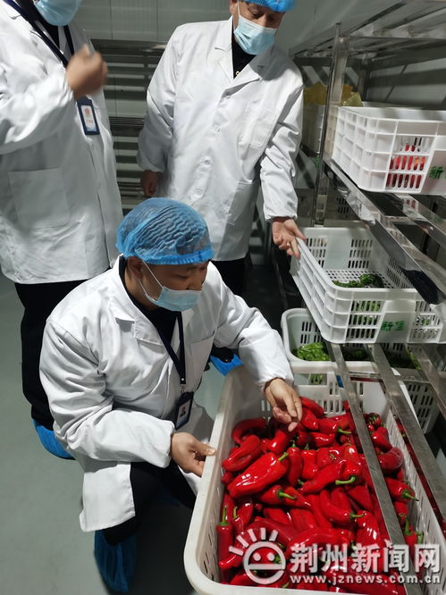 21種高風(fēng)險(xiǎn)食品禁入中小學(xué)幼兒園 沙市區(qū)開(kāi)展專(zhuān)項(xiàng)檢查