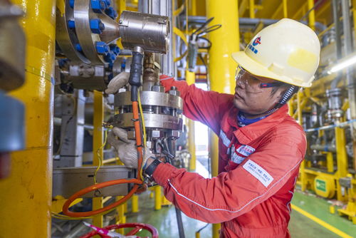 我國首個深水高壓氣田 深海一號 二期建成投產(chǎn)