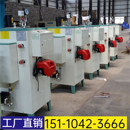 2021歡迎訪問 山東省濱州市全自動燃油蒸汽發(fā)生器 股份集團